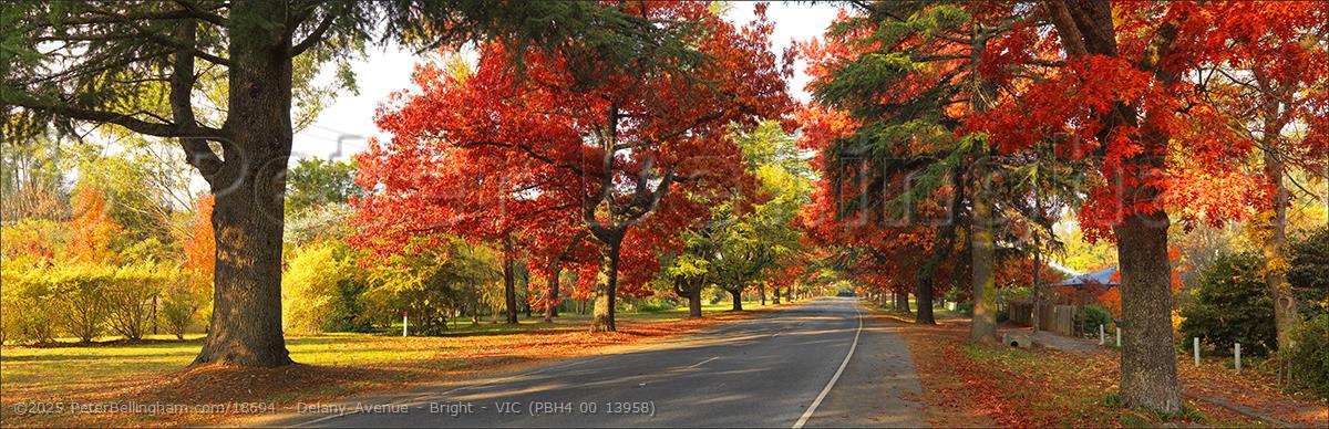 Peter Bellingham Photography Delany Avenue - Bright - VIC (PBH4 00 13958)
